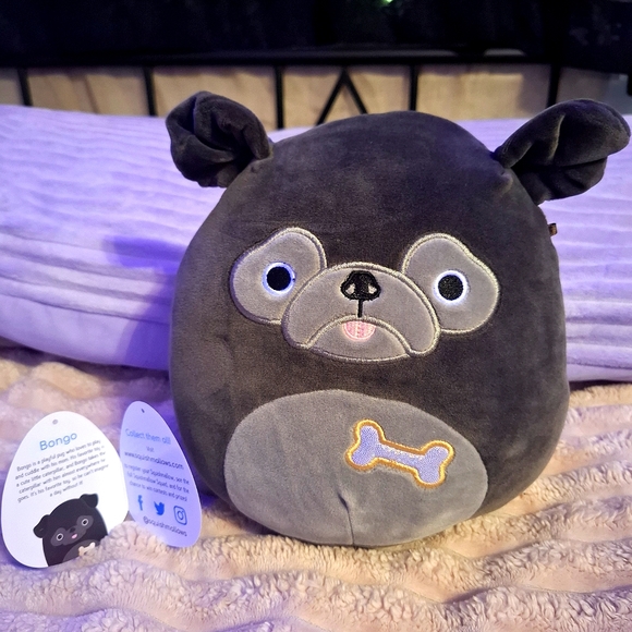 Bongo The Dog Squishmallows Plush Stuffed Animal Small 8" - Picture 2 of 5